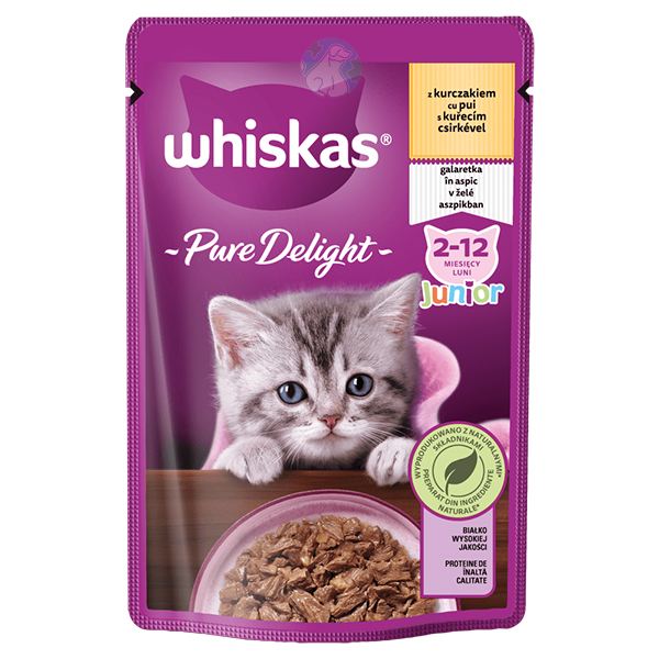 پوچ  بچه گربه مرغ  whiskas